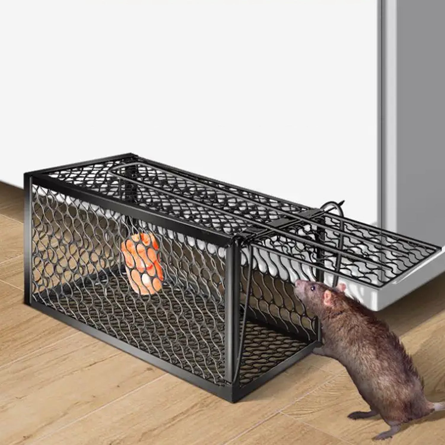 Foldable live animal trap cage. Foldable live animal trap cage.